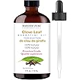 MAJESTIC PURE Clove Essential Oil | 100% Pure and Natural Clove Oil | Premium Grade Essential Oils for Hair Care, Home Diffus