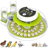 Quail Egg Incubator for Hatching 40 Quail Eggs with Automatic Turner | and Humidity Control,Small Brooder, Outdoor Poultry Egg Incubator, Suitable for Parrot Canary and Other Bird
