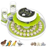 Quail Egg Incubator for Hatching 40 Quail Eggs with