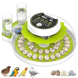 Quail Egg Incubator for Hatching 40 Quail Eggs with