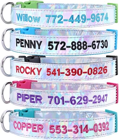 embroidered dog collars amazon