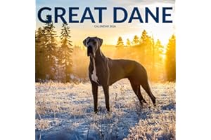 Great Dane Dog 2026 Calendar: Gentle Giants and Majestic Companions