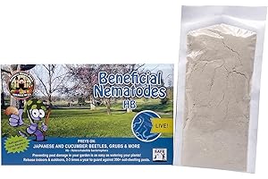 BUG SALES 50 Million Live Beneficial Nematodes Hb - Soil Pest Exterminator