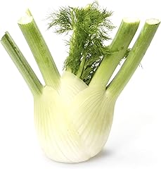 Organic Fennel, 1 Each