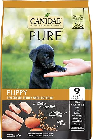 the baby elephant plush pillow