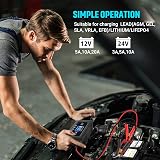 HTRC 20A Car Battery Charger 12V/24V LCD Desulfator Maintainer LiFePO4 Lead-Acid view 9