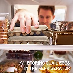 HavRixor Quail Egg Cartons 30 Pack- Holds Up to Two
