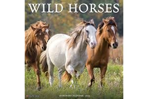 Wild Horses 2025 12" x 12" Wall Calendar