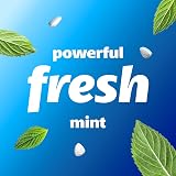 Smint Peppermint XXL Tin Sugar Free Mints Vegetarian 12x Smint Peppermint view 5