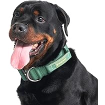 FLAVOR.× PORTER DOG RUCK Porter Backpack Porter Containers For Food Cleverpup