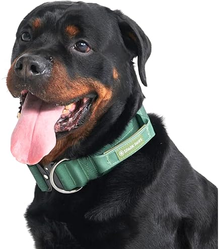 Spark Paws No Pull Dog Harness for Large Dogs, Holder Design