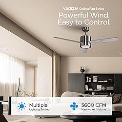 VAGIZM Ceiling Fan 52'' with Light: Modern Remote