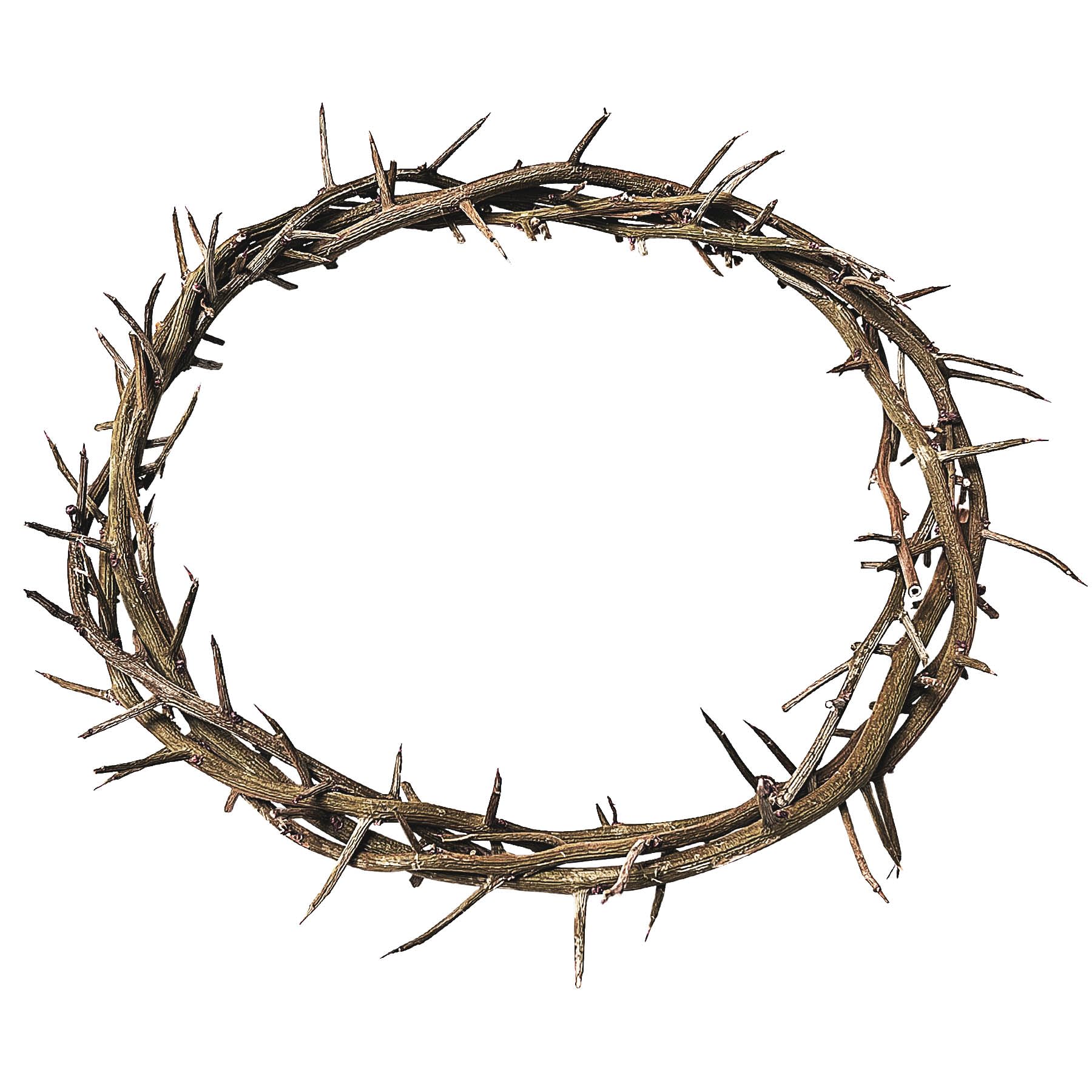 Jesus Thorn of Crown Headpiece-Crown of Thorns Ring, 7.5-8" Crown of Thorns Plant,Handmade Wearable Crown Decor for Christian Easter, Church Events, and Christmas Tree Topper (Wood Color)