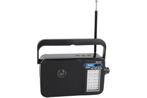Diyeeni AM FM SW Radio, Portable Battery Operated Shortwave Radio with Bluetooth, Big Speaker, Telescopic Antenna, Earphone J