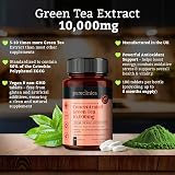 Pureclinica Green Tea Extract 10,000mg | 360 Tablets | 98% Polyphenols view 5