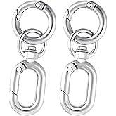 Isslly 2pcs Swivel Clasp Clips, Double Opening Snap Hook, Metal Swivel Keychain Clasp for Keychains Lanyard Making DIY Crafts- Silver