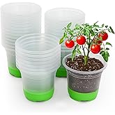 MIXC Thickened Clear Nursery Pots with Silicone Base for Easy Transplant 30 Packs 5 Inch, Transparent Plant Pot Reusable Seedling Pots for Vegetable Propagation, Root Cutting, Seed Starting, Green
