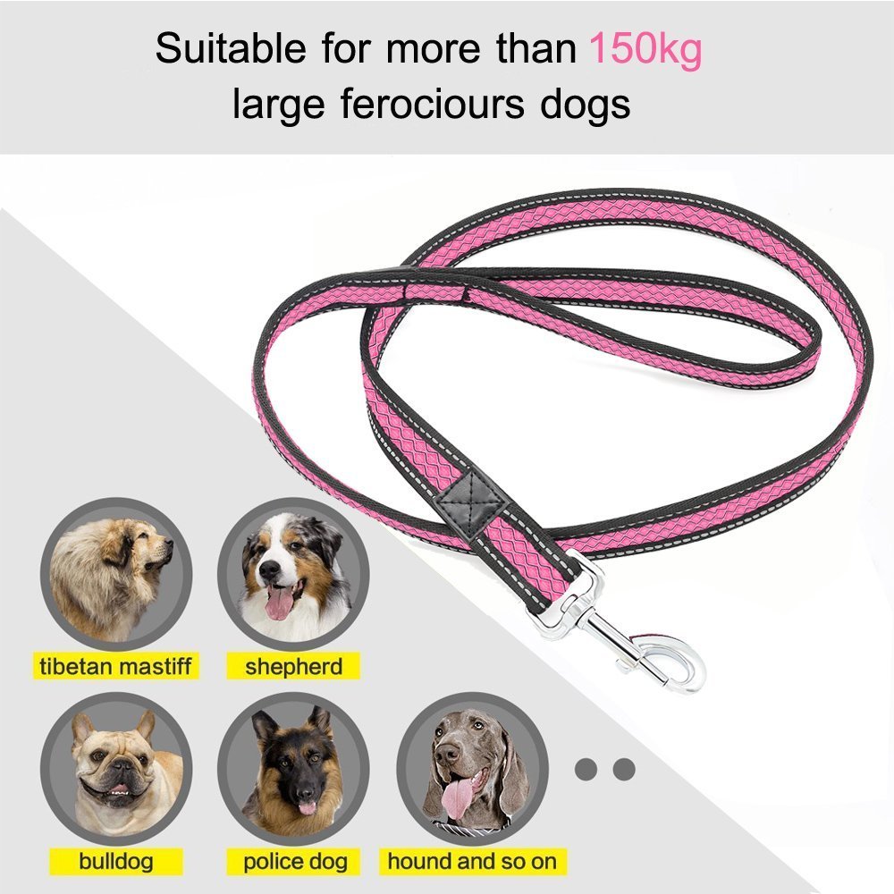 Reflective Dog Leash, Strong & Heavy Duty Pet Leash, Lightweight & Washable Soft Mesh, Handle Lead for Greater Control Safety Training, Walking, Running- Suitable For Small/Medium/Large Dogs