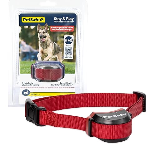 PetSafe Stay Play Wireless Dog Collar, Wireless Dog Fence System