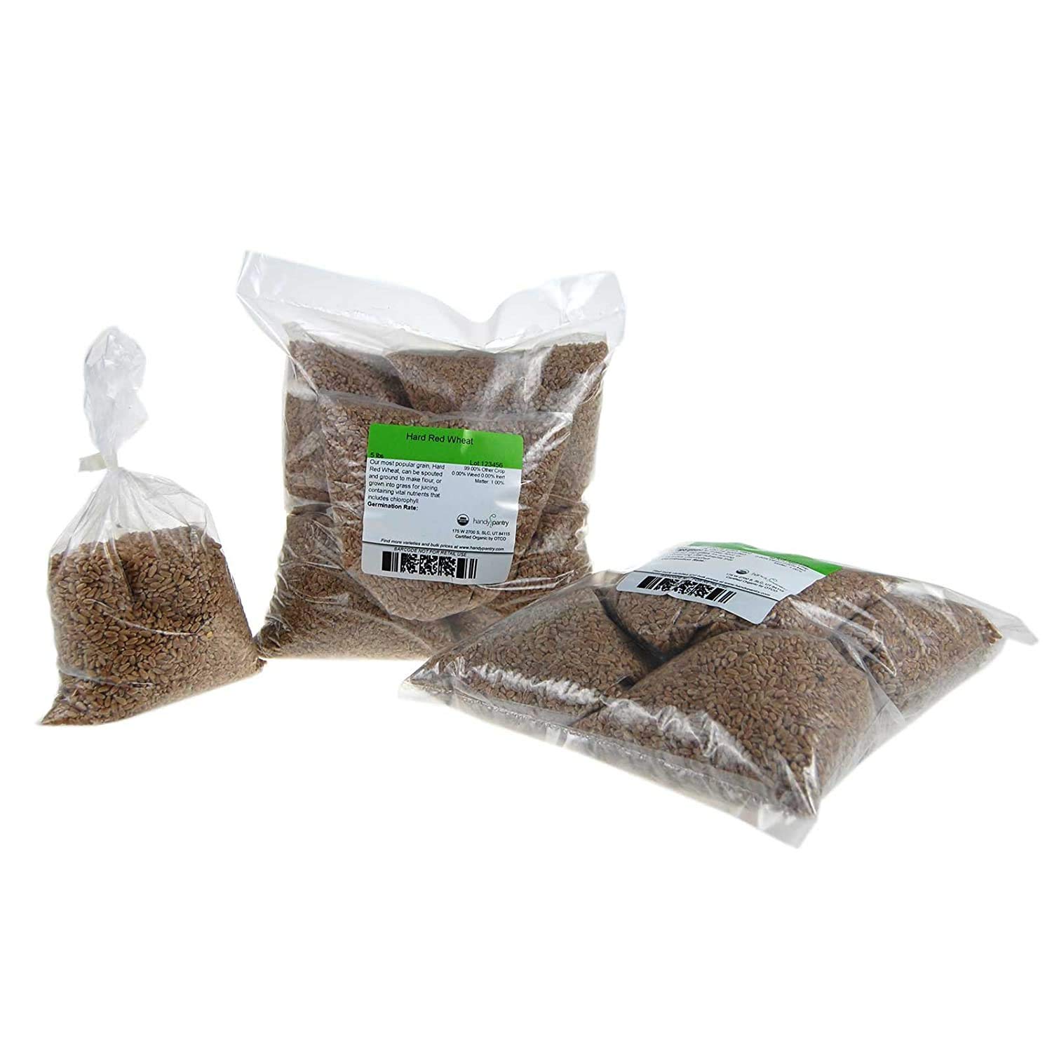 Certified Organic Hard Red Wheat Sprouting Seed: 10 Pre-Measured Bags for 10"x20" Trays (Approx 10 Lb) For Growing Wheatgrass to Juice, Grind for Flour & Bread, Ornamental Wheat Grass – Non-GMO