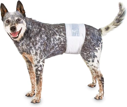 disposable male dog wraps medium