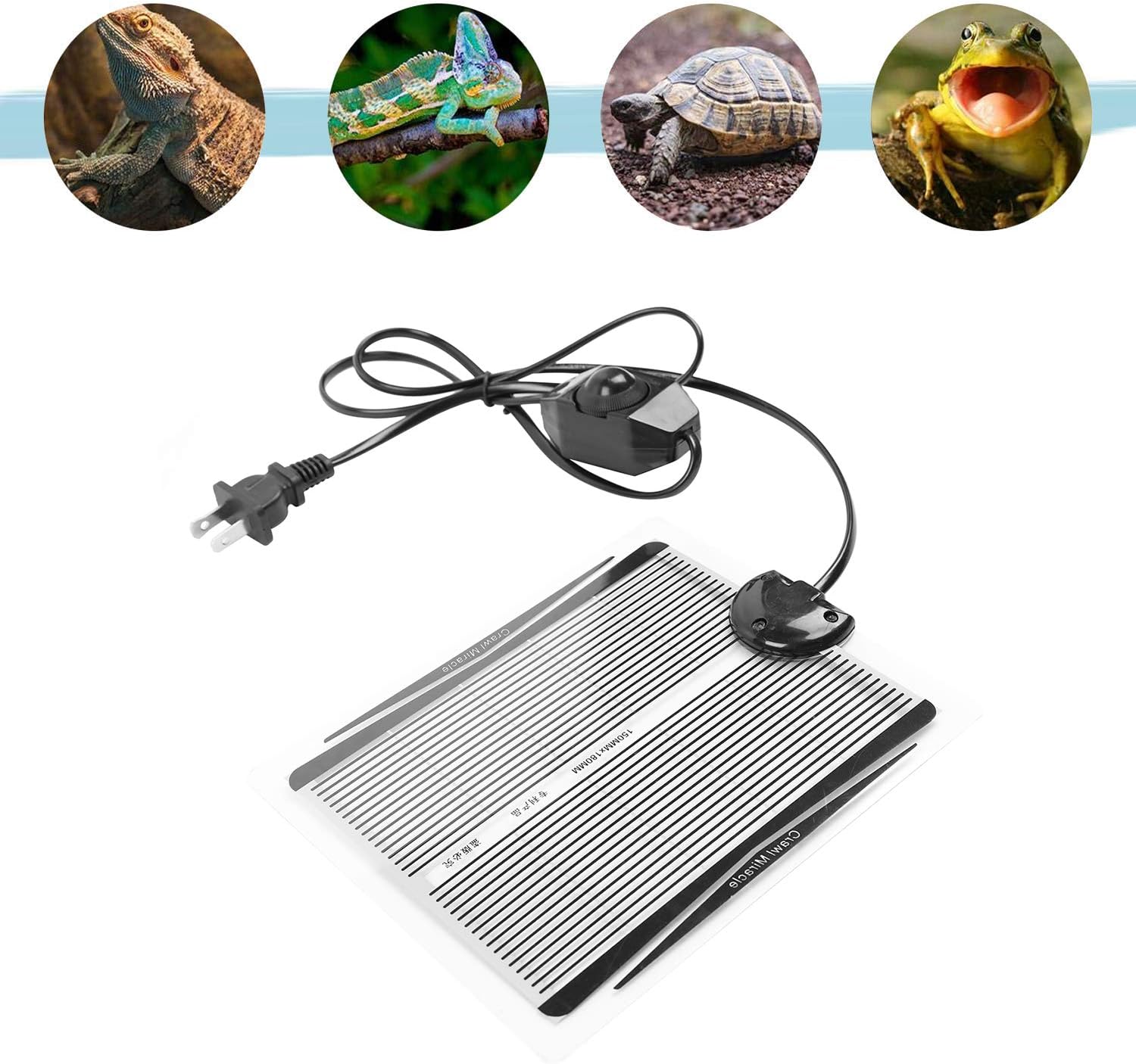 lizard heating pad