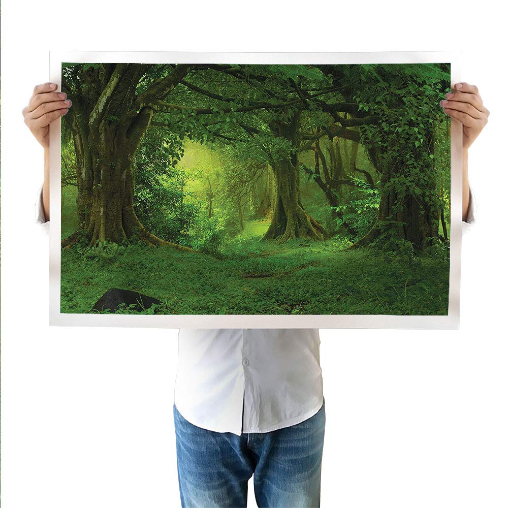 LEIBNIZ E IL MIGLIORE DEI MONDI POSSIBILI Il Caffè Filosofico DVD N