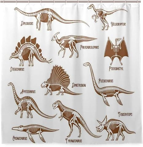Amazon Ninehasa シャワーカーテン 防水 ポリエステル 風呂カーテン 浴室 おしゃれ かわいい 恐竜古代動物三畳紀爬虫類グラフィックイメージのグループ 取付簡単 浴室 間仕切り カーテンリング付属 シャワーカーテン ホーム キッチン オンライン通販