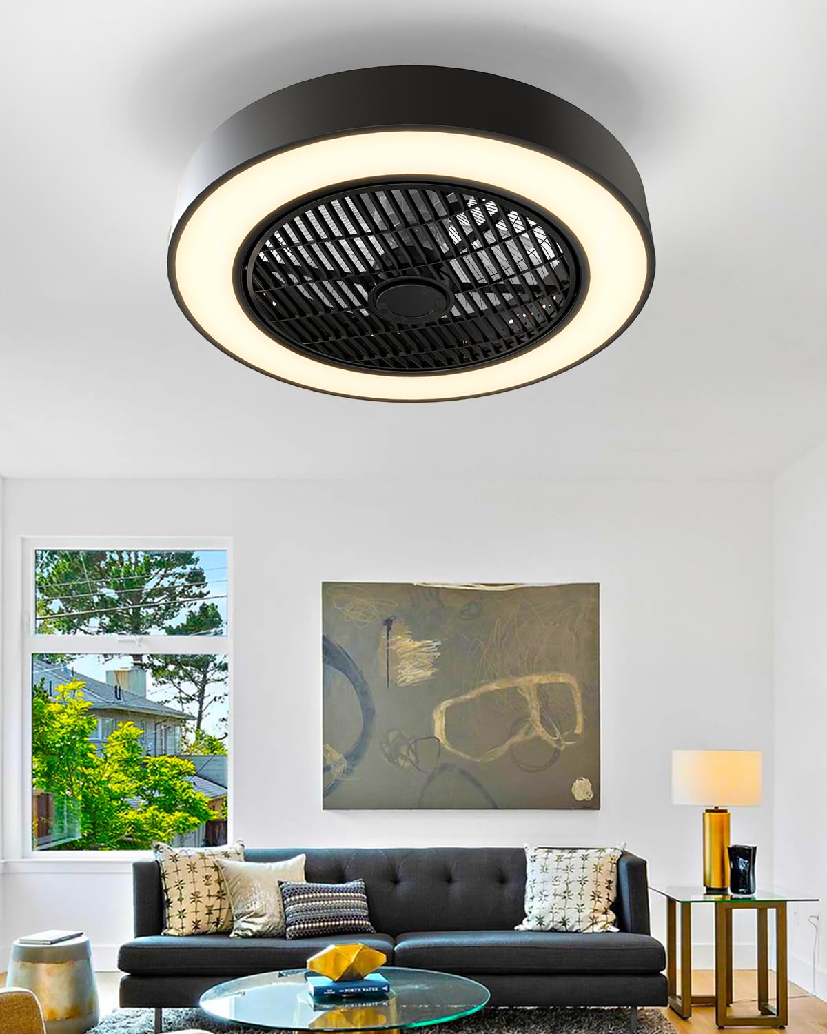 Ceviept Enclosed Ceiling Fan with Light and Remote