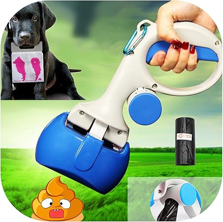 how to get your dog in the crate