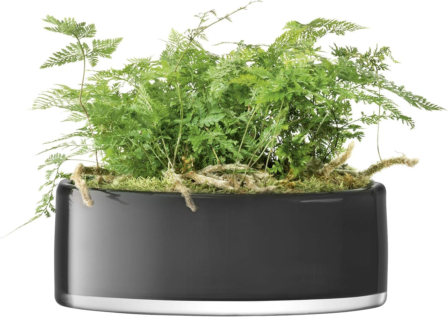 LSA SS19 Stems Bowl/Planter diameter 30 cm Slate, diameter 30cm - Image 3