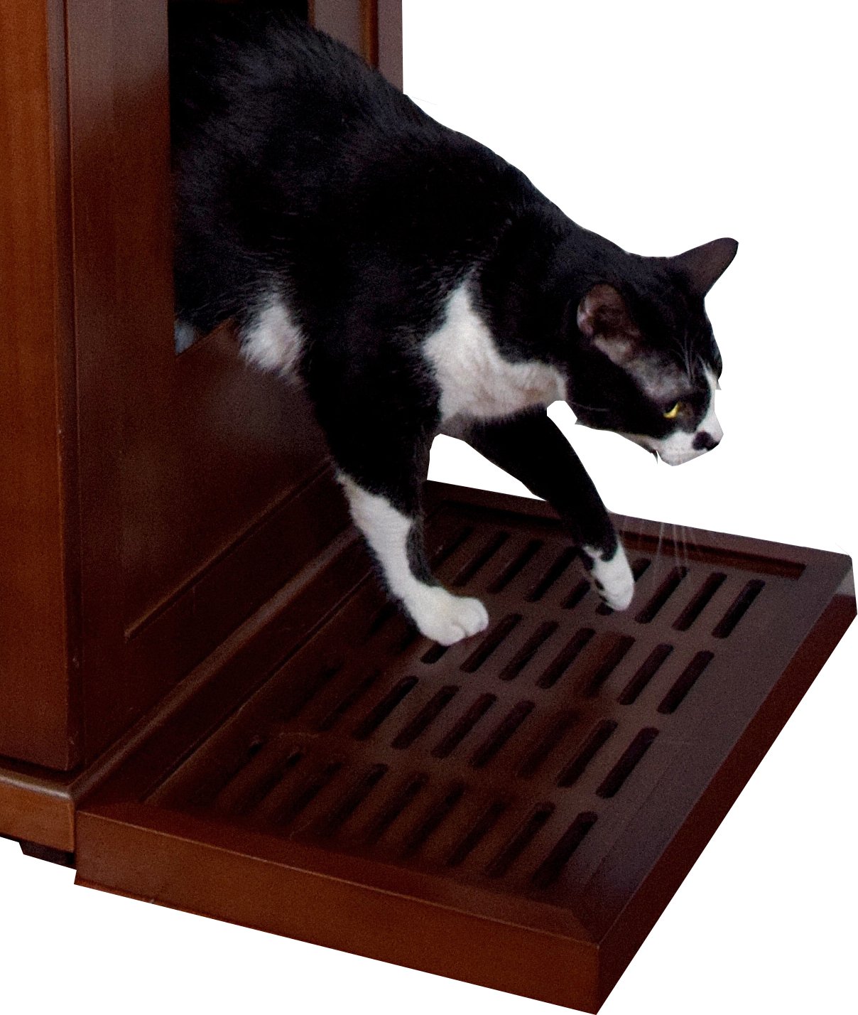 Best cat box cover furniture