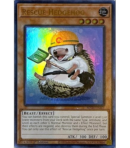 Amazon.com: YU-GI-OH! - Rescue Hamster (NECH-EN039) - The New Challengers -  1st Edition