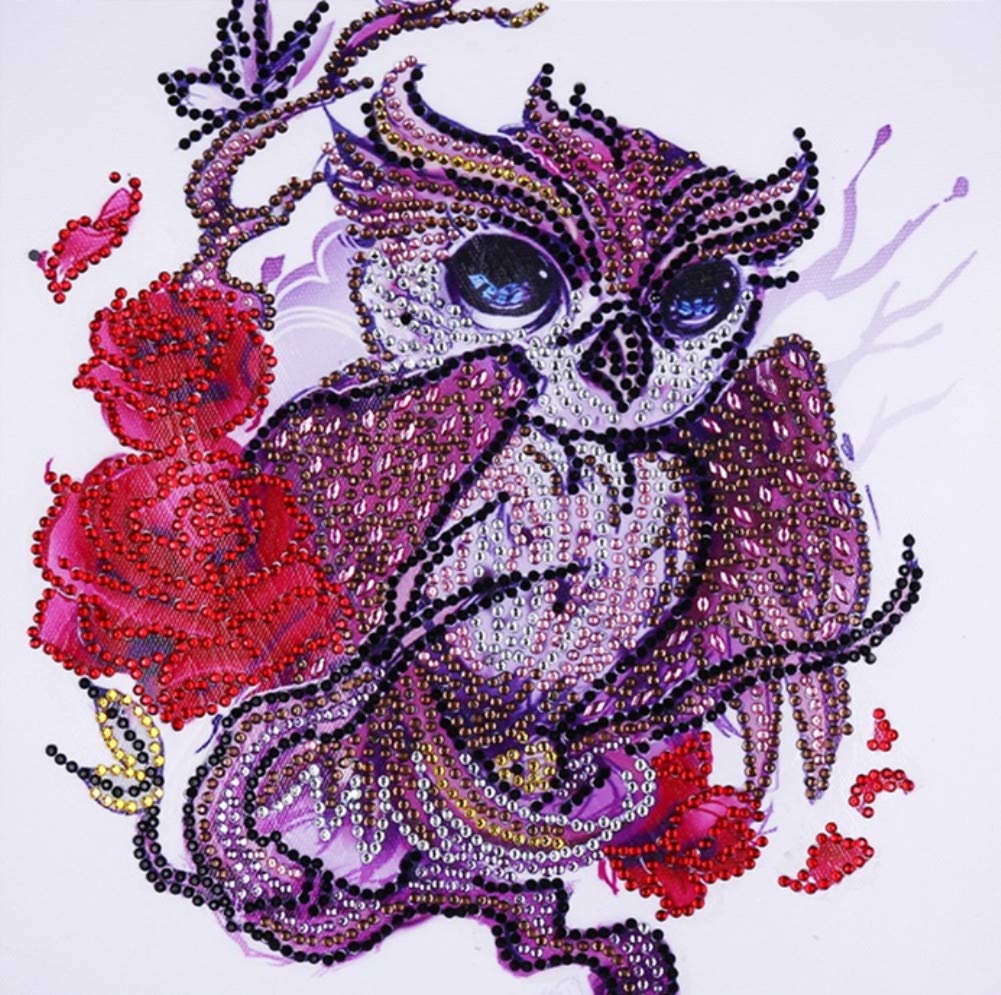 ABEUTY Diamond Painting DIY 5D Special Shape Rhinestones, Lovely Owl & Red Flower, Partial Drill Crystal Diamond Art Kits