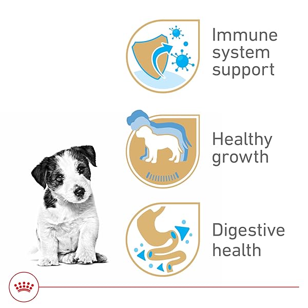 ROYAL CANIN BREED HEALTH NUTRITION JACK RUSSELL TERRIER PUPPY DRY DOG FOOD, 3 LB BAG