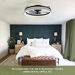 LUDOMIDE Ceiling Fans with Lights, Flush Mount