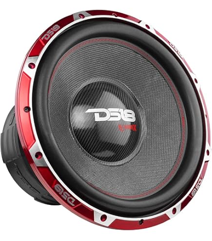 Amazon.com: DS18 HOOL-X15.4DSPL Hooligan X 15