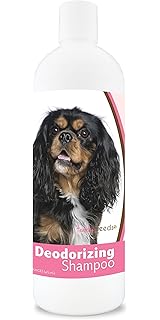 cavalier king charles spaniel hypoallergenic