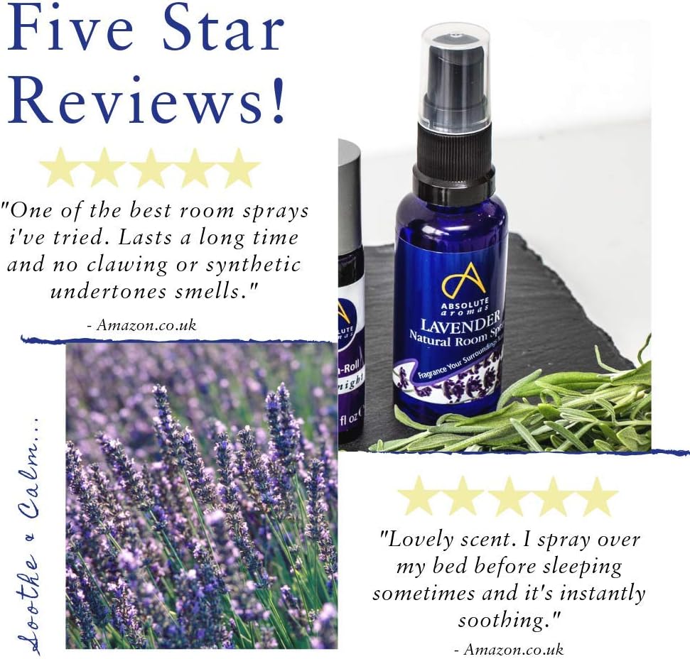 Absolute Aromas, purple, 100 ml (Pack of 1) - Image 5