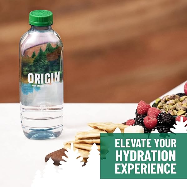 POLAND SPRING SPRING WATER, 30.4 FZ