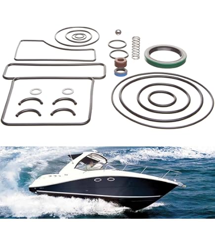 Amazon.com: REPLACEMENTKITS.COM Brand Outdrive Seal Fits