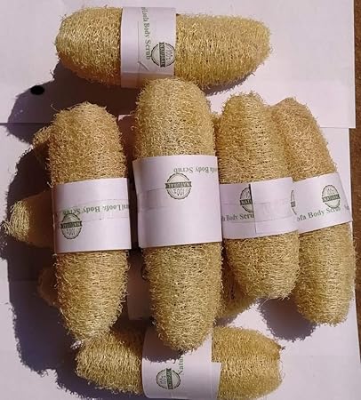 Vaibhav 10 Pieces 100% Natural Organic Body Scrubber Loufah Sponges for Bathing -Natural loofah- 12 cm to 18cm