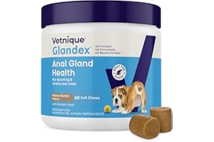 Vetnique Glandex Anal Gland Soft Chew Treats with Pumpkin for Dogs Digestive Enzymes, Probiotics Fiber Supplement for Dogs Boot The Scoot (Peanut Butter Chews, 60 Count)