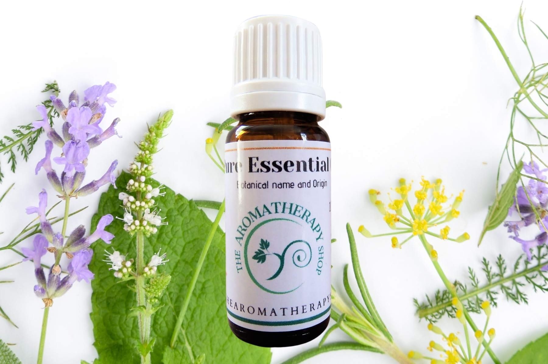 Nutmeg Pure Essential Oil 10ml