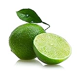 QAUZUY GARDEN 5 Key Lime Tree Seeds, Acid