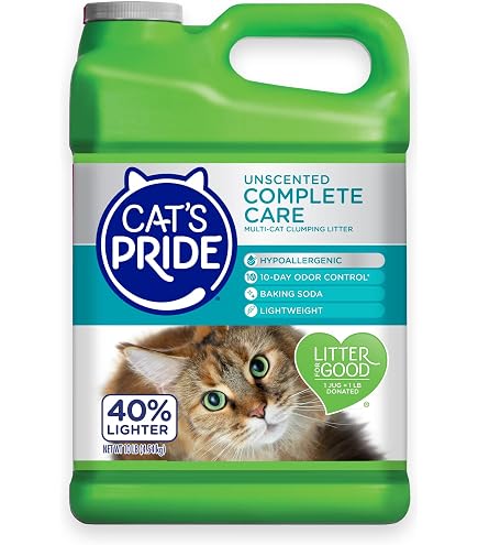 Special Kitty Fresh Scent Odor Control Clumping Cat Litter – 40 Lb (Pack Of 3)