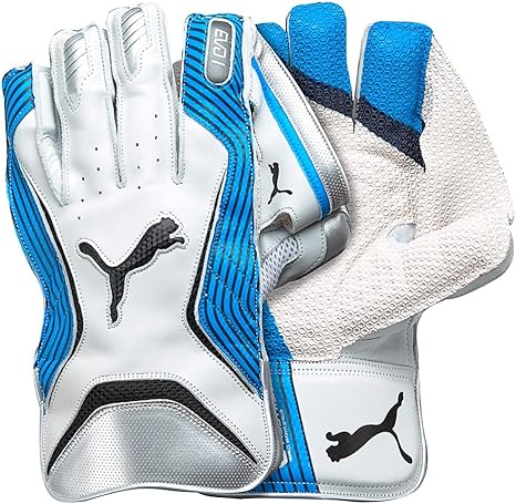 puma evo 1 wicket keeping gloves
