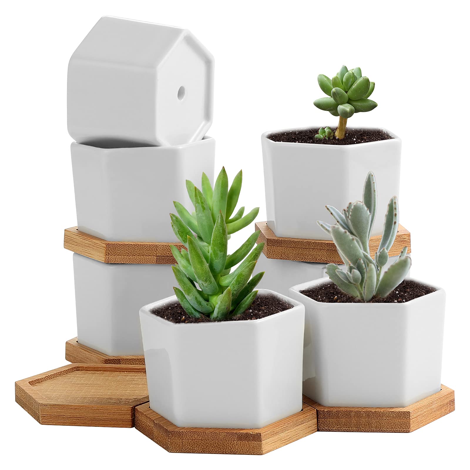 TsunNee 2.7 Inches Ceramic Flower Pots - Hexagon White Succulent Planters, Mini Decorative Bonsai for Home Garden Office Decor, Desktop Windowsill Gift