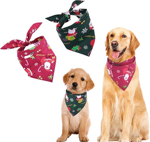 accesorios perros amazon