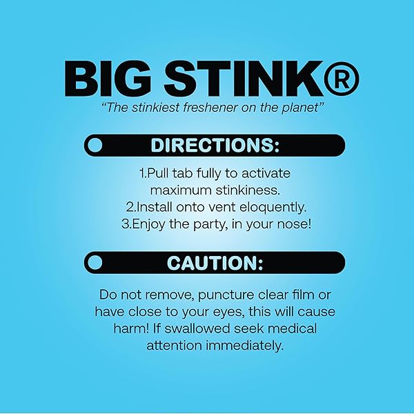 BIG STINK ODOR-FIGHTING, CAR AIR FRESHENER VENT CLIP LONG LASTING, LAUNDRY DAY SCENT, 1 COUNT